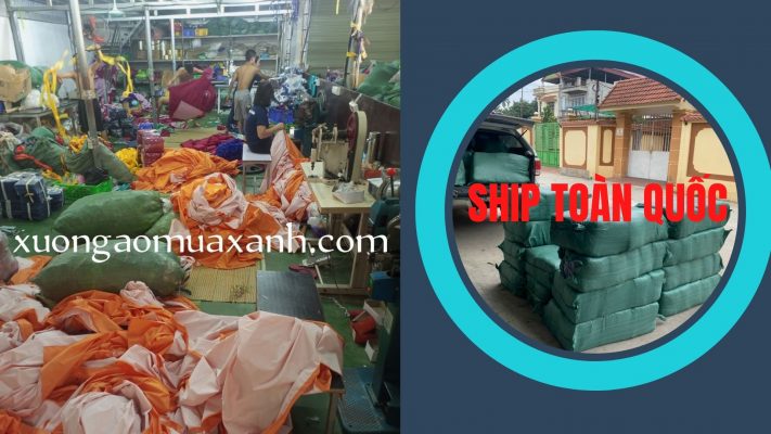Ao-mua-bo-in-logo-ship-toan-quoc